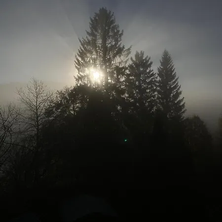 Schwarzwaldglueck Appartement *