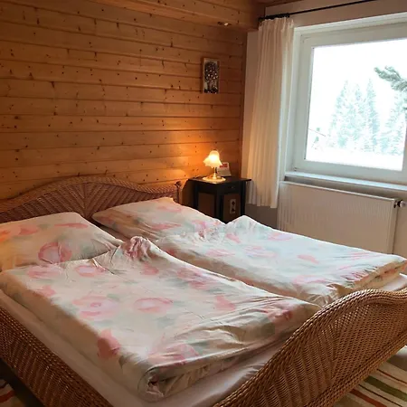 Schwarzwaldglueck Apartman Feldberg