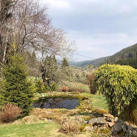 Apartman Schwarzwaldglueck Feldberg